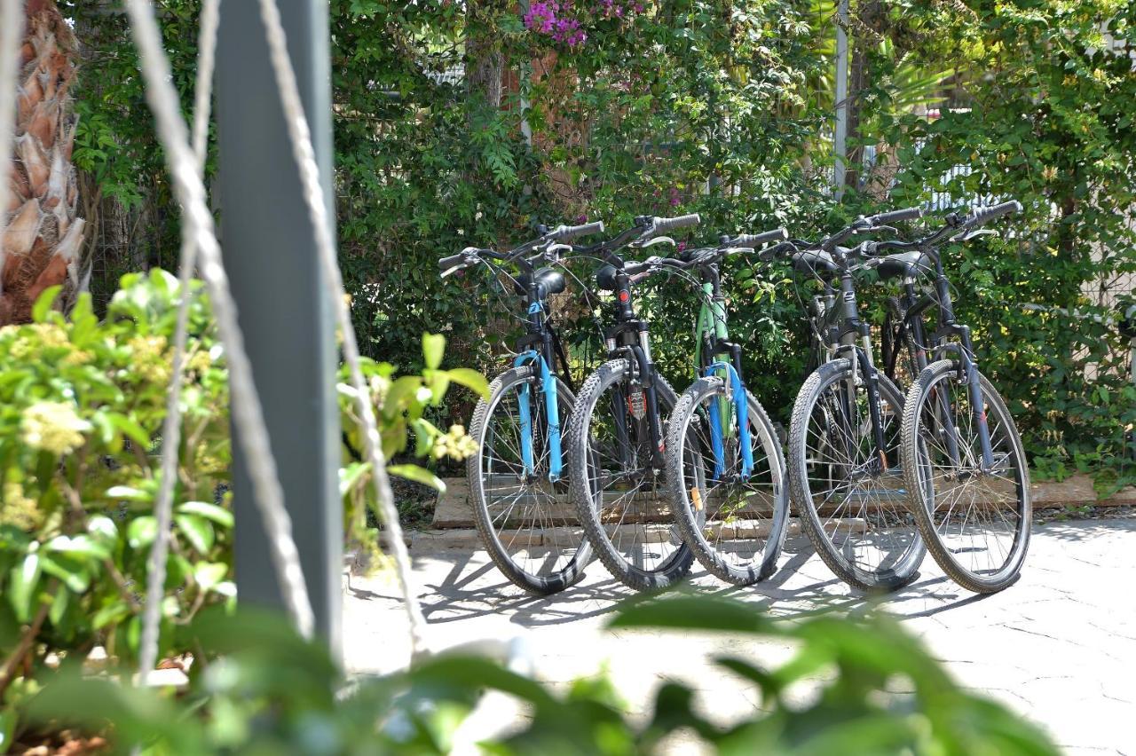 Alekos Luxury Suites Free 24H Transportation From - To Airport 아르테미다 외부 사진